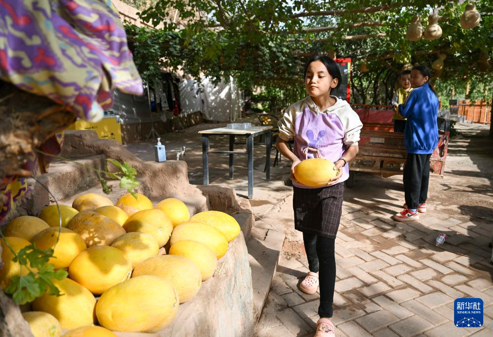 无码人妻少妇色欲AV一区二区