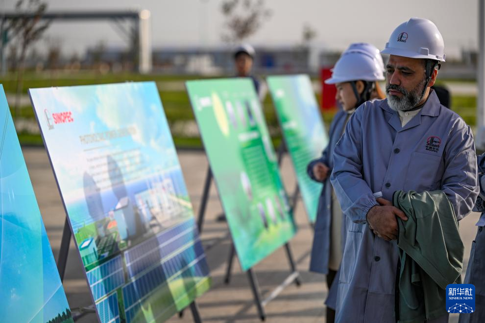 无码人妻少妇色欲AV一区二区