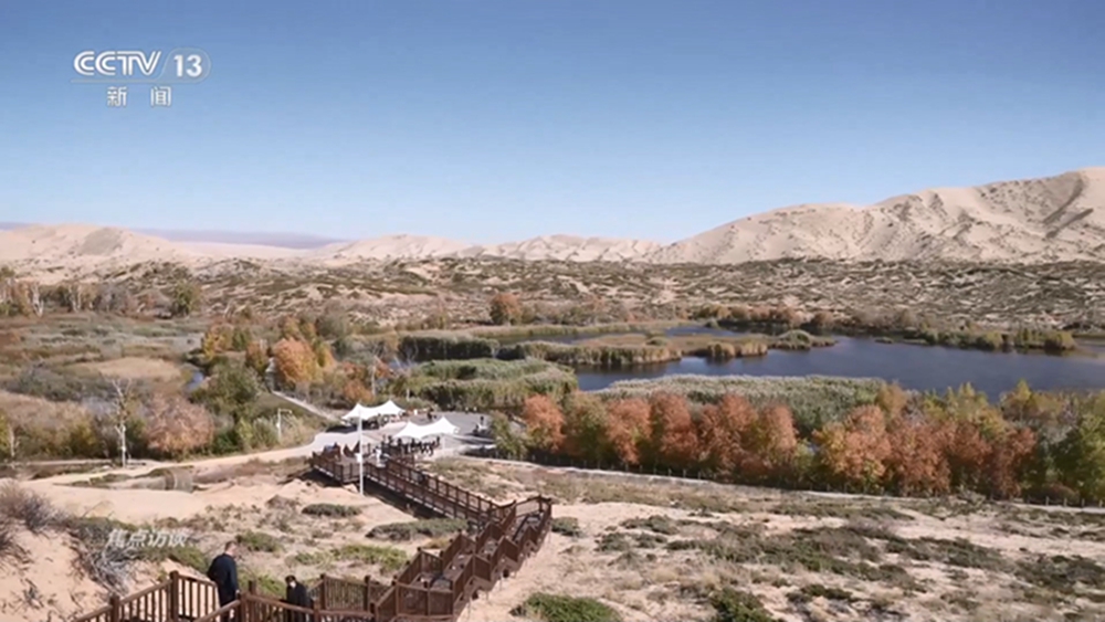 无码人妻少妇色欲AV一区二区