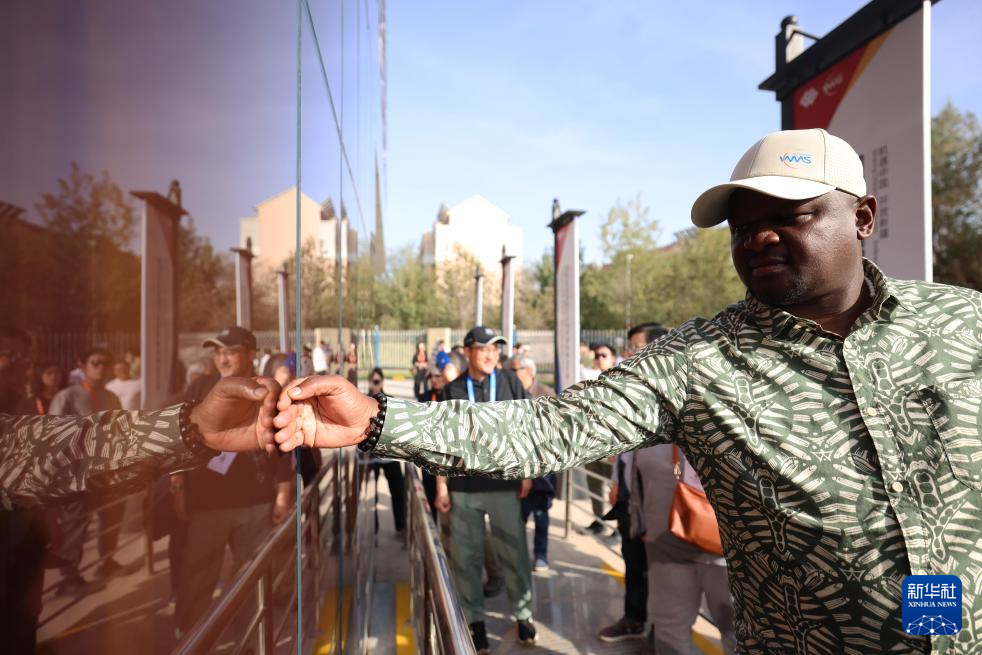 无码人妻少妇色欲AV一区二区