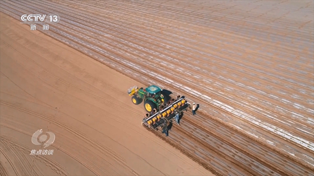 无码人妻少妇色欲AV一区二区