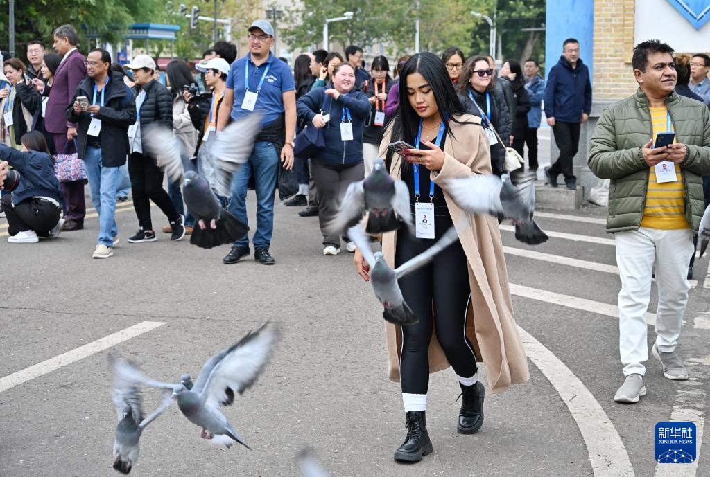 无码人妻少妇色欲AV一区二区