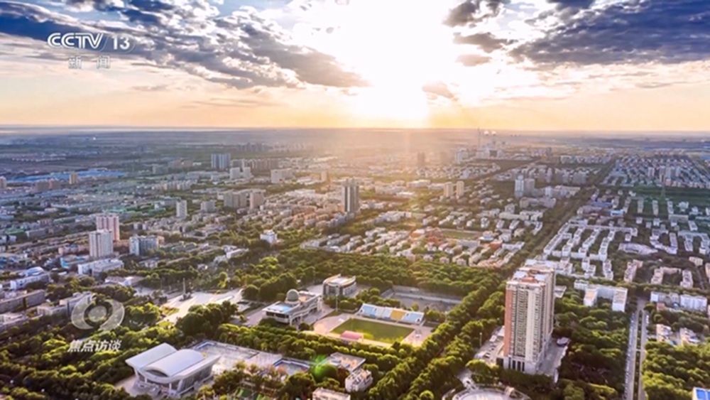 无码人妻少妇色欲AV一区二区