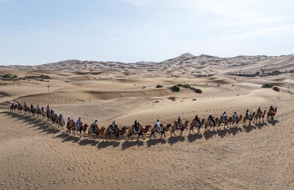 无码人妻少妇色欲AV一区二区