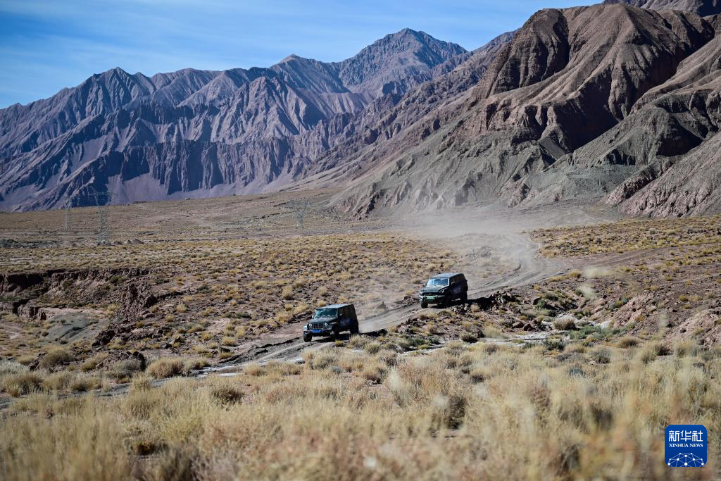 无码人妻少妇色欲AV一区二区