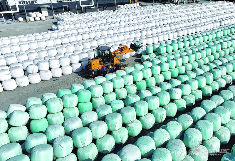 无码人妻少妇色欲AV一区二区