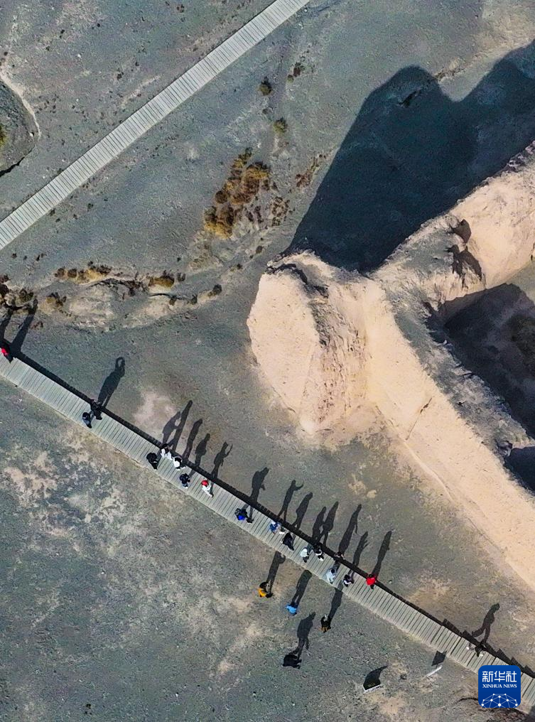 无码人妻少妇色欲AV一区二区