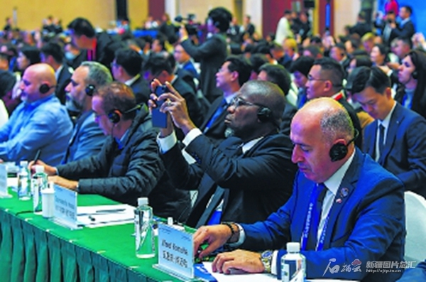 无码人妻少妇色欲AV一区二区