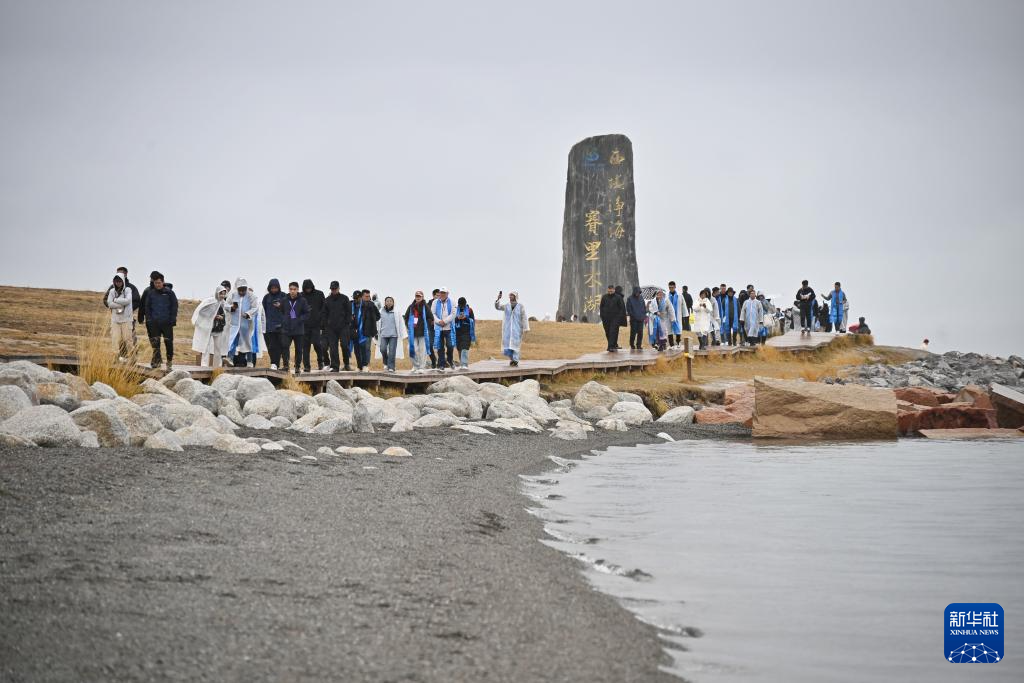 无码人妻少妇色欲AV一区二区