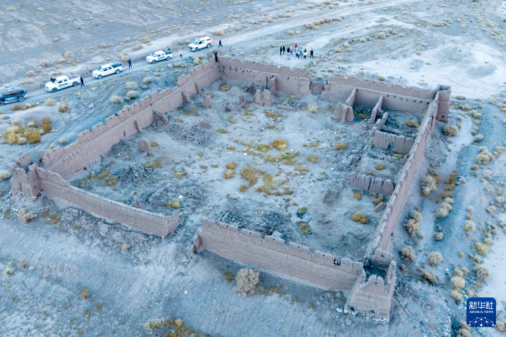 无码人妻少妇色欲AV一区二区