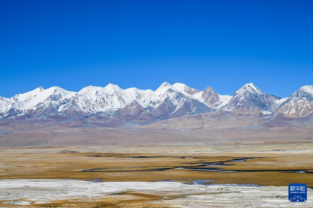 无码人妻少妇色欲AV一区二区