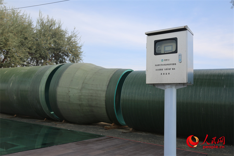 无码人妻少妇色欲AV一区二区