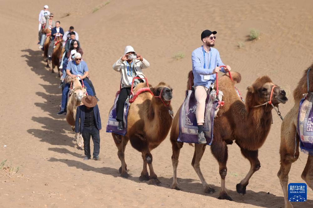 无码人妻少妇色欲AV一区二区