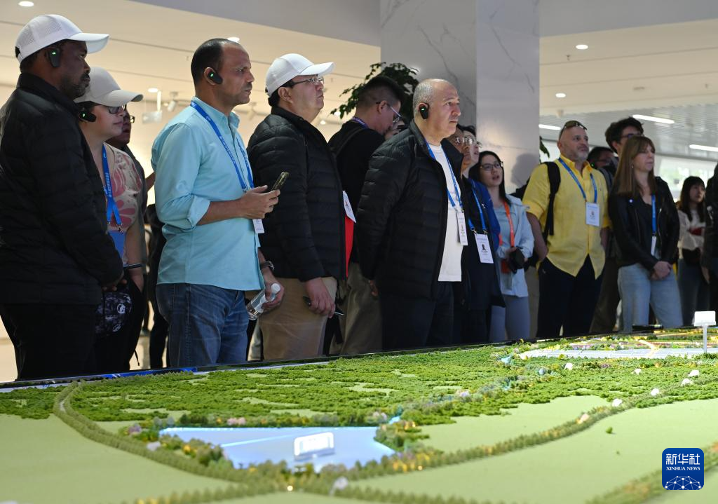 无码人妻少妇色欲AV一区二区