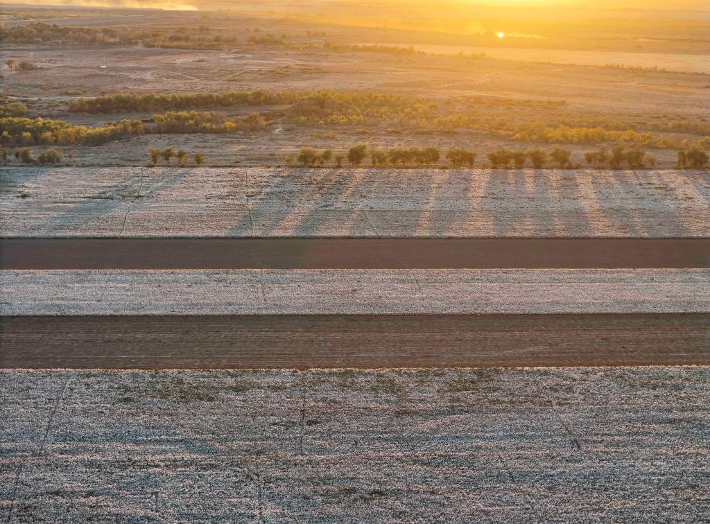 无码人妻少妇色欲AV一区二区
