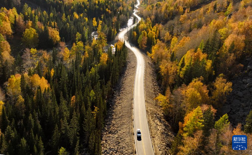 无码人妻少妇色欲AV一区二区