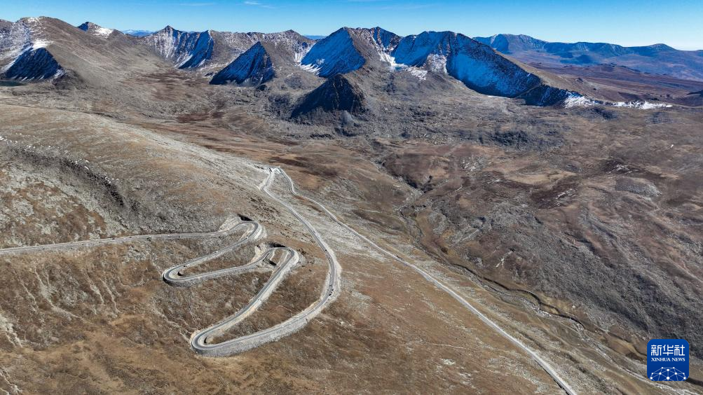 无码人妻少妇色欲AV一区二区