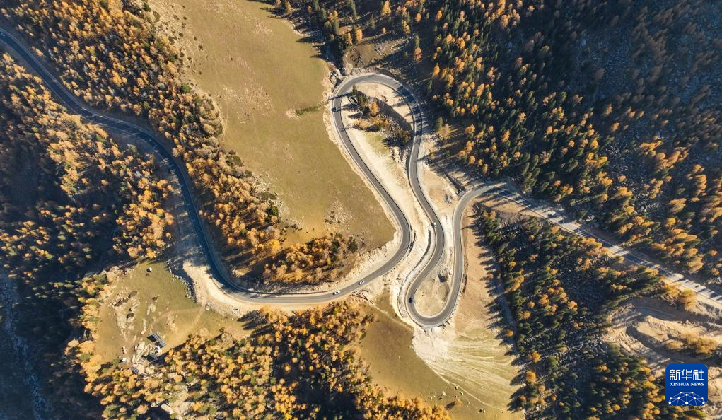 无码人妻少妇色欲AV一区二区