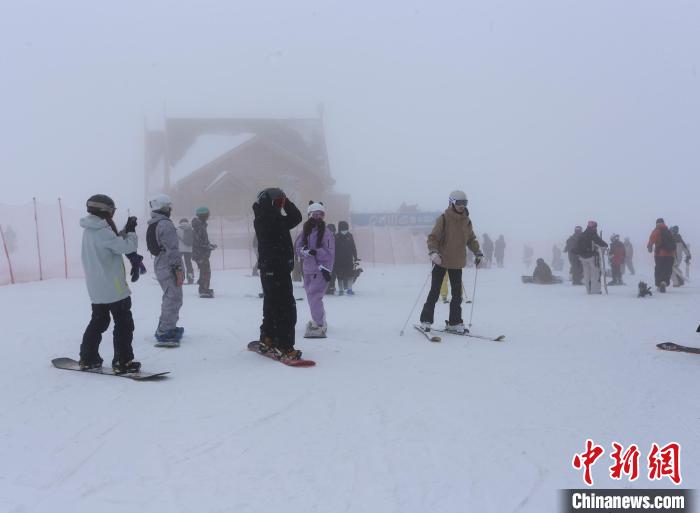 无码人妻少妇色欲AV一区二区