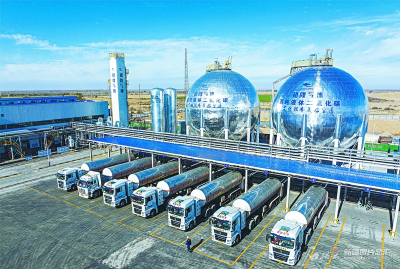 无码人妻少妇色欲AV一区二区