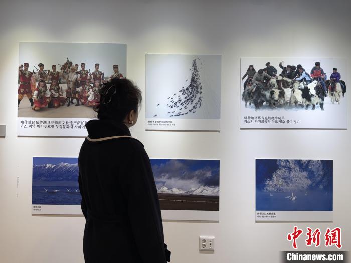 无码人妻少妇色欲AV一区二区