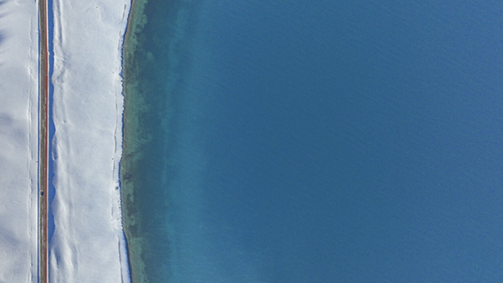 无码人妻少妇色欲AV一区二区