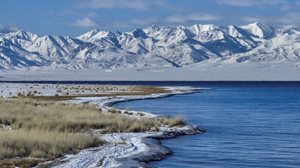 无码人妻少妇色欲AV一区二区