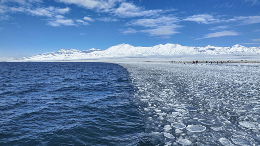 无码人妻少妇色欲AV一区二区