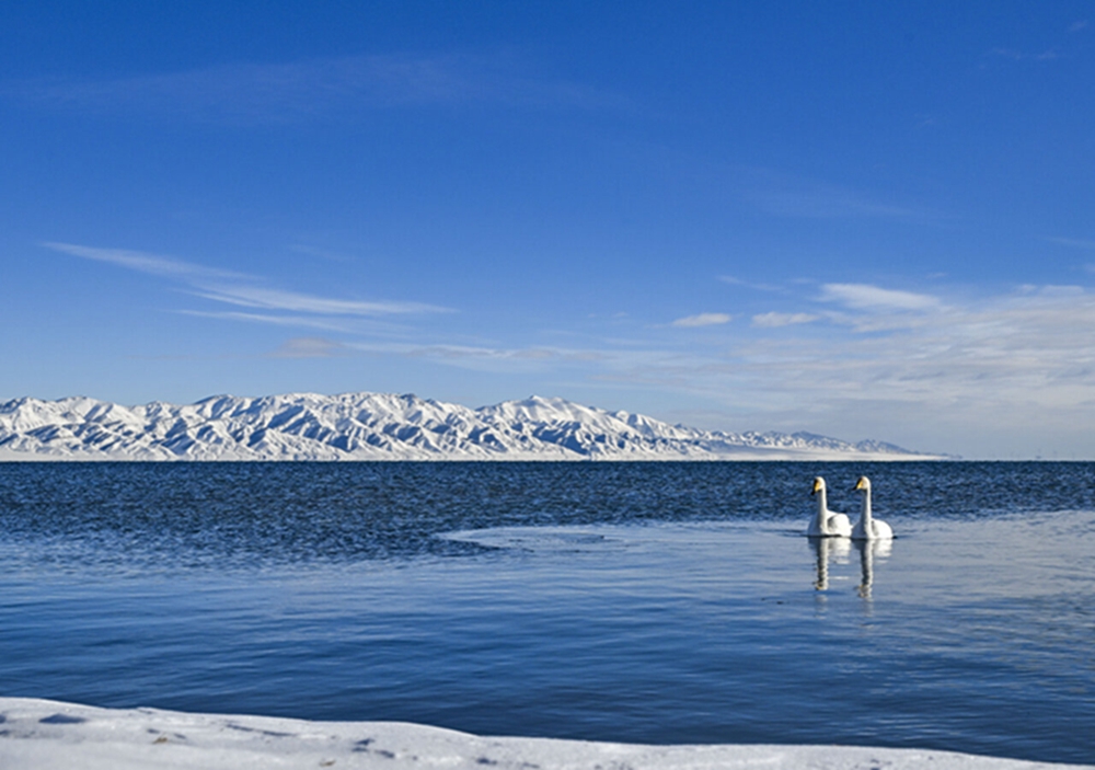 无码人妻少妇色欲AV一区二区