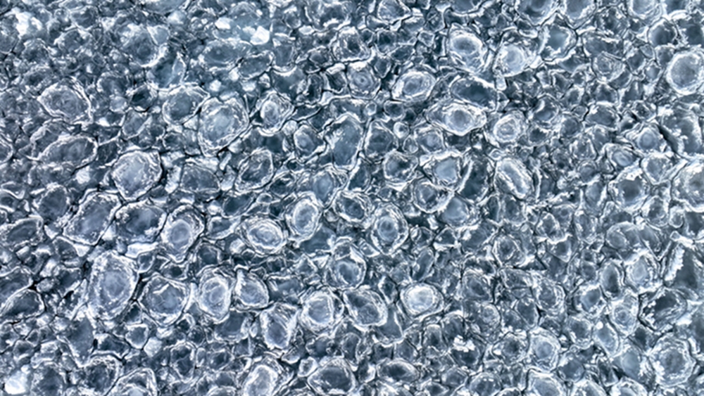 无码人妻少妇色欲AV一区二区