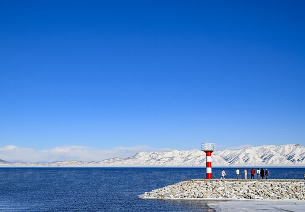 无码人妻少妇色欲AV一区二区