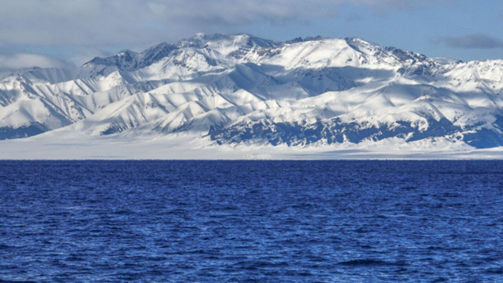 无码人妻少妇色欲AV一区二区