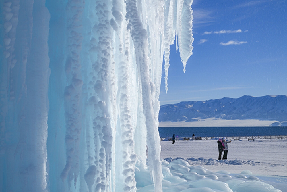 无码人妻少妇色欲AV一区二区