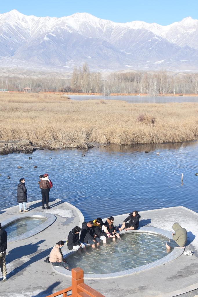 无码人妻少妇色欲AV一区二区