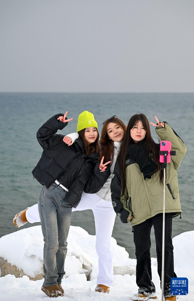 无码人妻少妇色欲AV一区二区