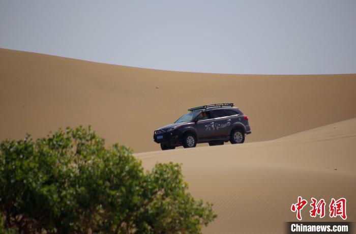 无码人妻少妇色欲AV一区二区