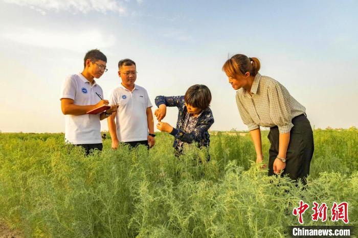 无码人妻少妇色欲AV一区二区