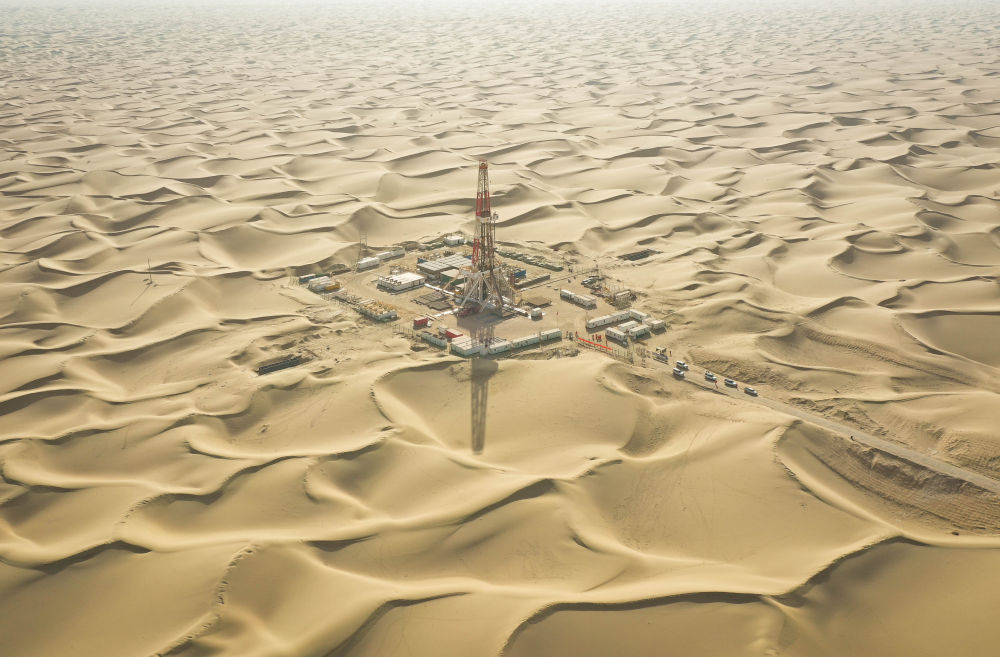 无码人妻少妇色欲AV一区二区