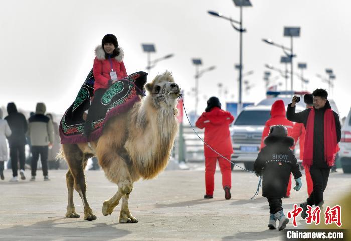 无码人妻少妇色欲AV一区二区