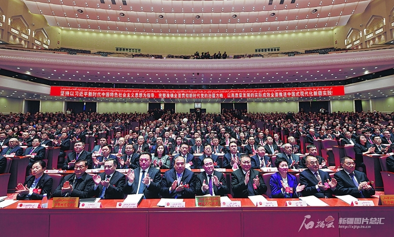 无码人妻少妇色欲AV一区二区