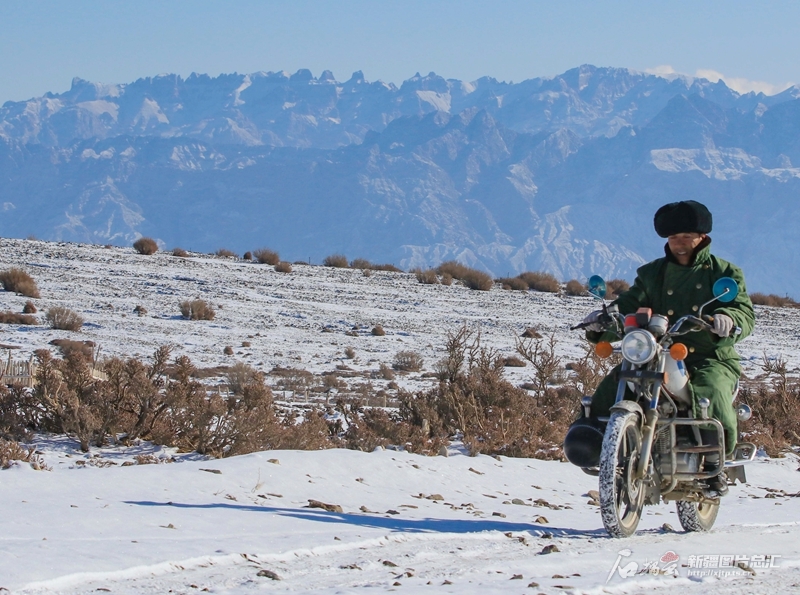 无码人妻少妇色欲AV一区二区
