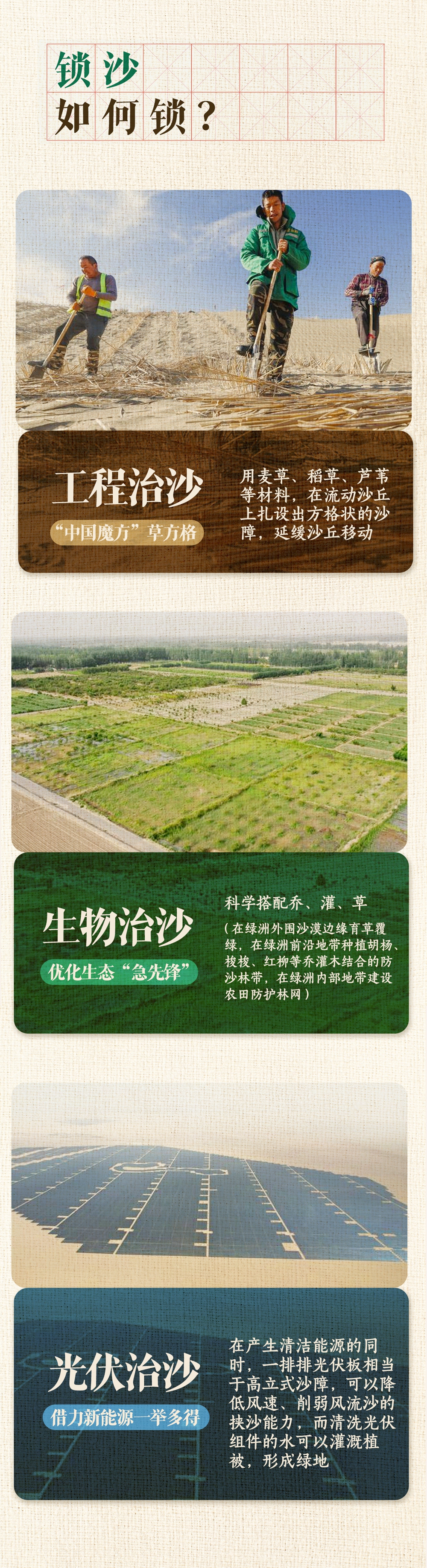 无码人妻少妇色欲AV一区二区