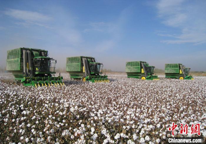 无码人妻少妇色欲AV一区二区