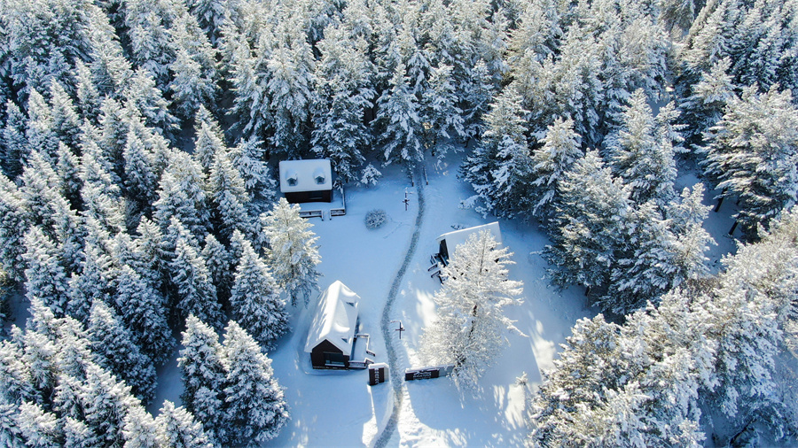 无码人妻少妇色欲AV一区二区