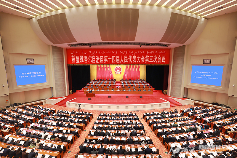 无码人妻少妇色欲AV一区二区