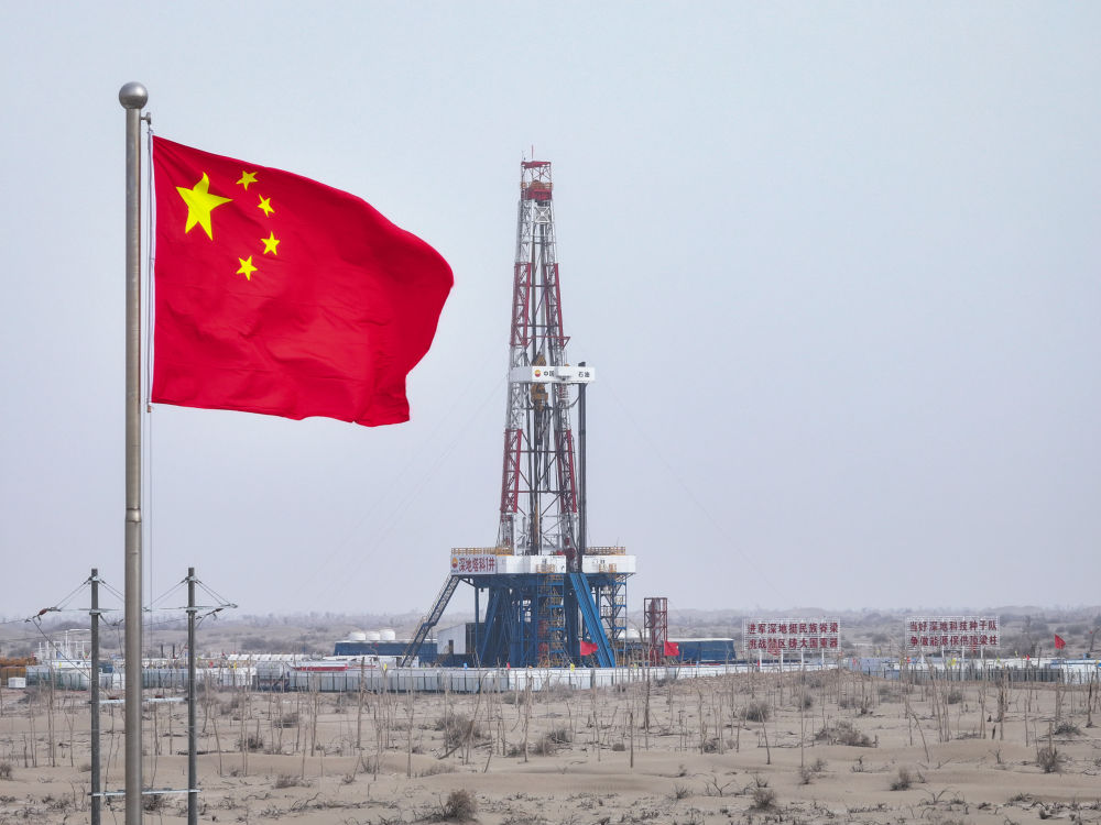 无码人妻少妇色欲AV一区二区