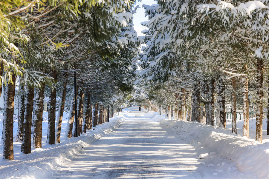无码人妻少妇色欲AV一区二区