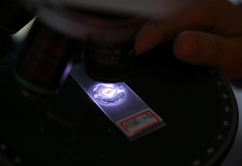 无码人妻少妇色欲AV一区二区