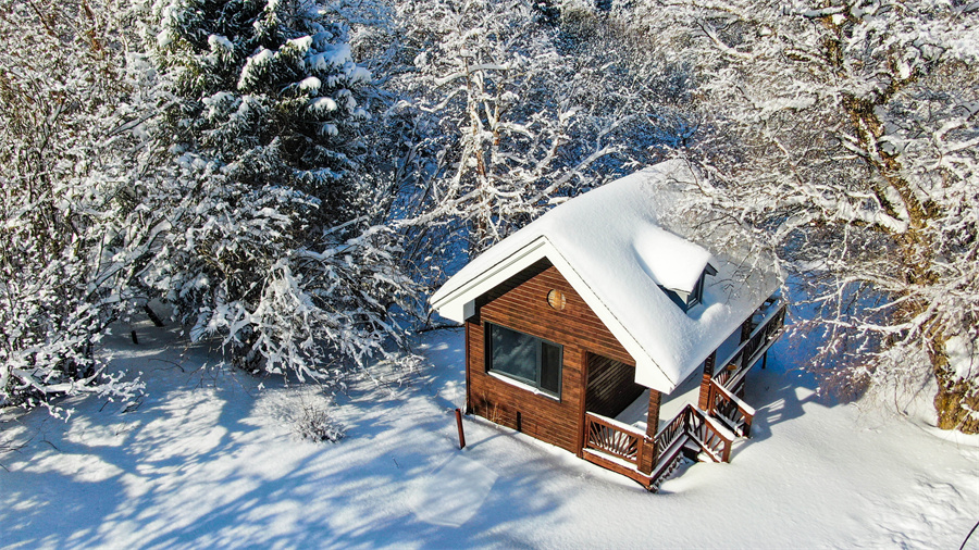 无码人妻少妇色欲AV一区二区