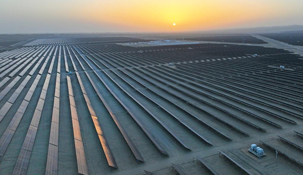 无码人妻少妇色欲AV一区二区